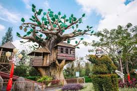 Rumah Pohon